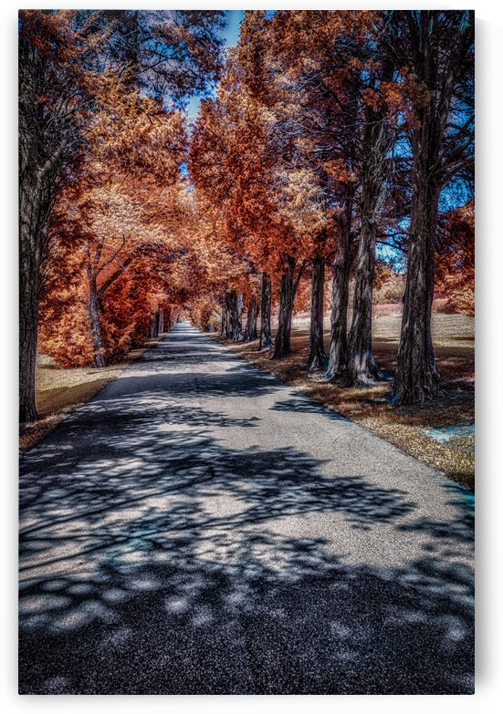 Infrared roadway by Dream World Images