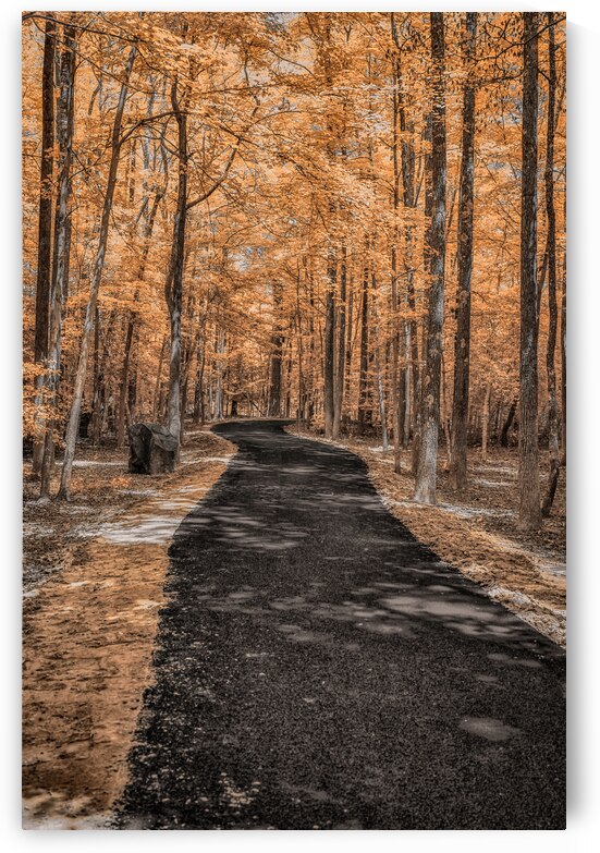 Golden Path by Dream World Images