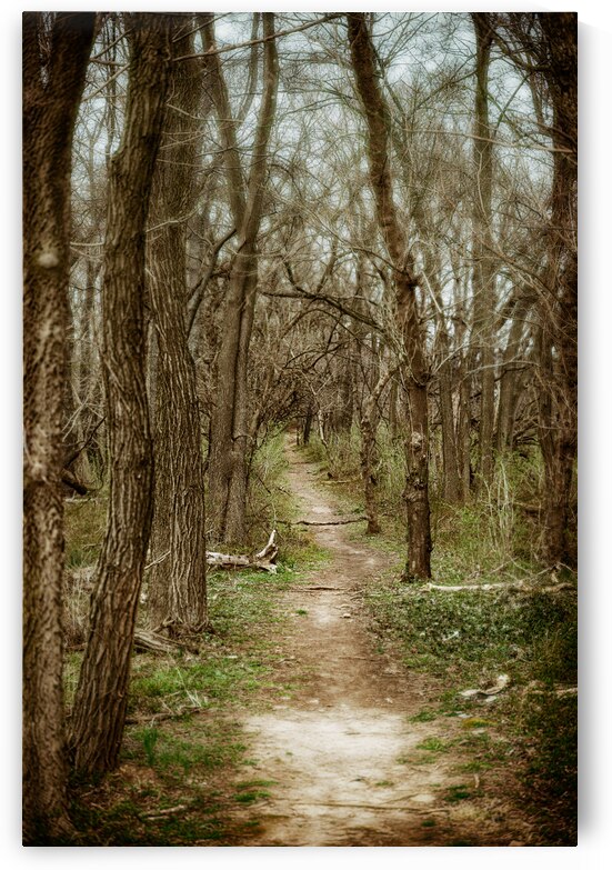 Dreamy Path by Dream World Images