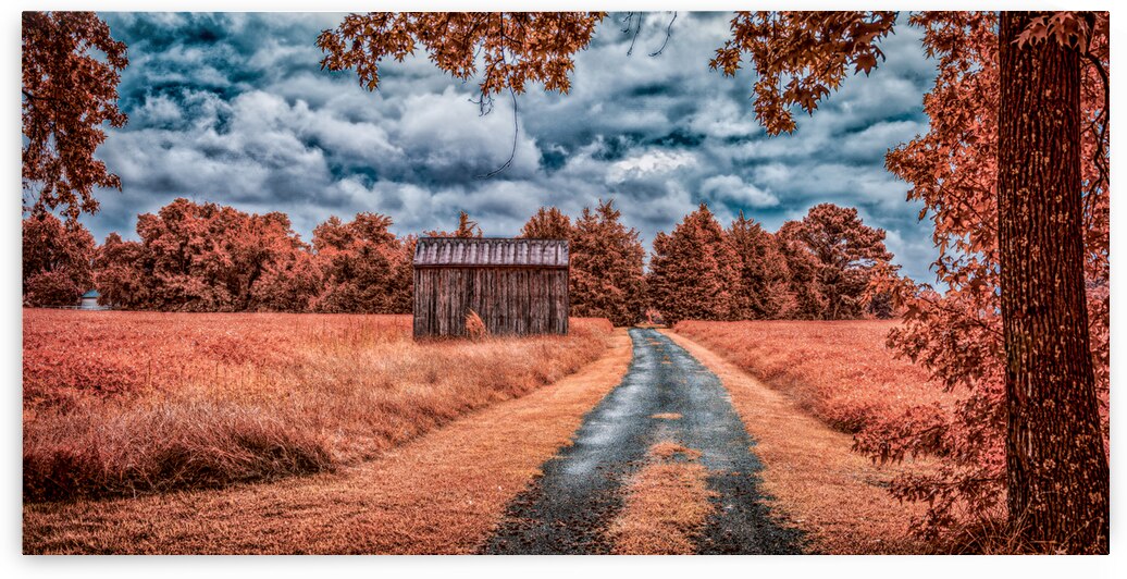 Barn Drive by Dream World Images