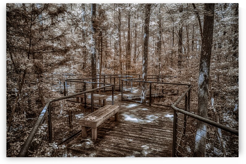 Angled Walkway by Dream World Images