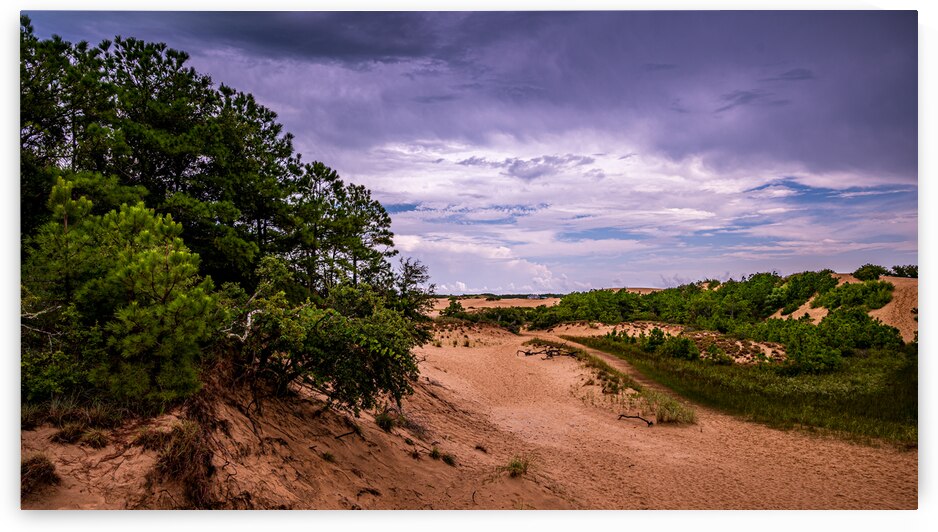 Jockey Ridge State Park by Dream World Images