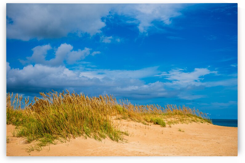 Sand Dune by Dream World Images