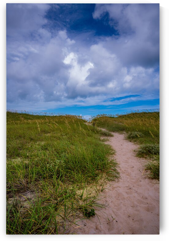 Dune Path - 2 by Dream World Images