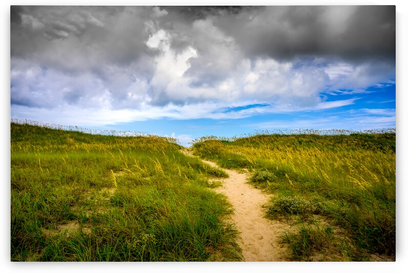 Dune Path -1 by Dream World Images