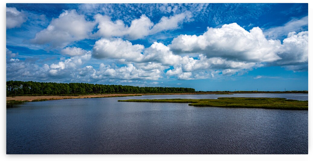 Marshland Tranquility: A Glimpse into Bodie Islands Outer Banks Beauty by Dream World Images