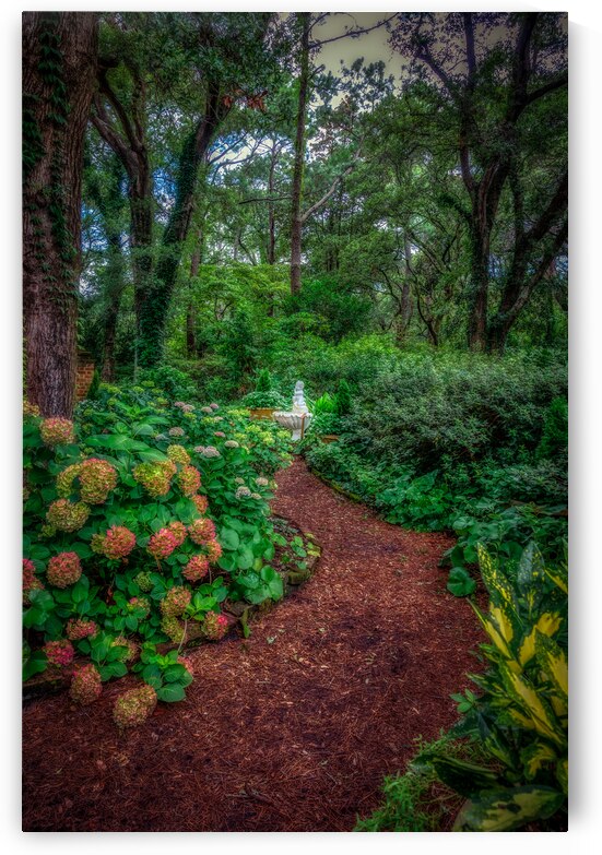Garden Path by Dream World Images