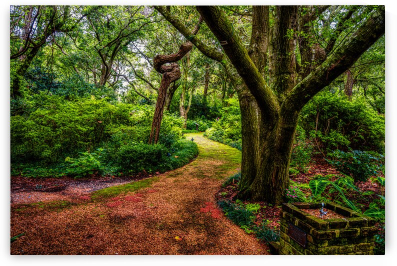 Exploring the Enchantment: A Journey through Elizabethan Gardens in Manteo North Carolina by Dream World Images