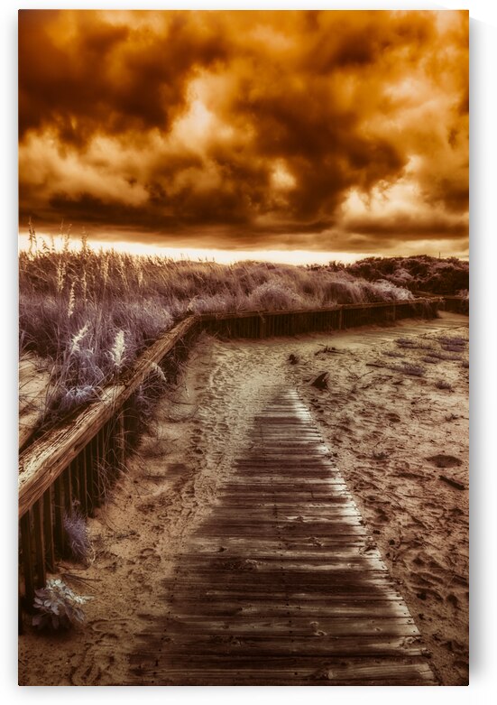 Burnt Path by Dream World Images