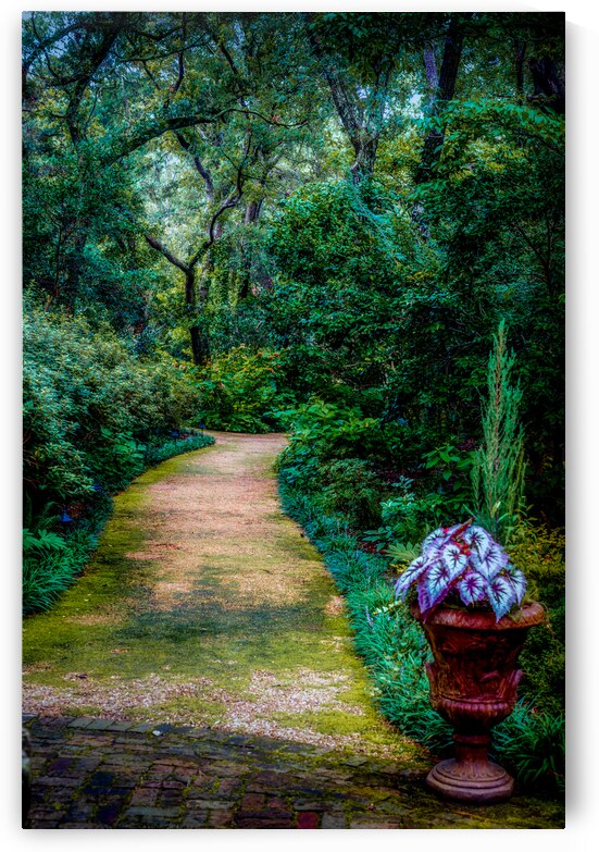 Garden Tapestry: A Walk Through Natures Beauty by Dream World Images