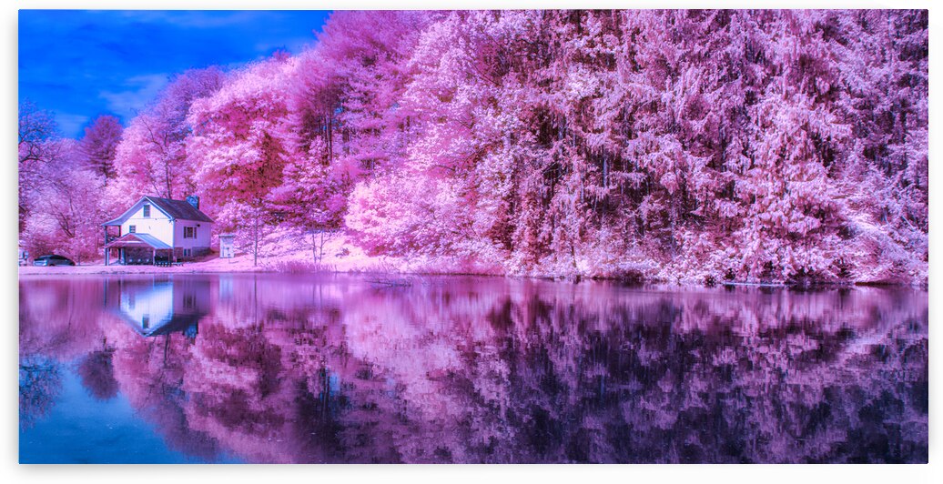 Pink Pond by Dream World Images