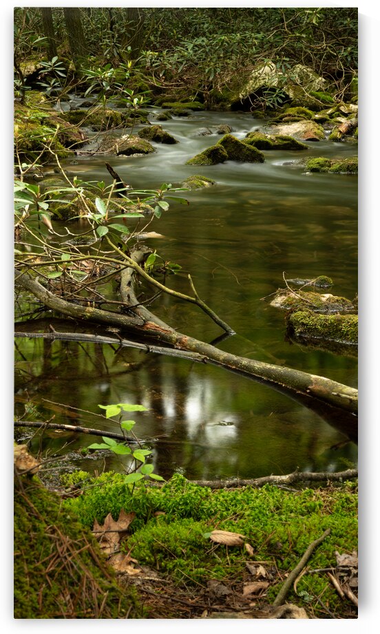 Conococheague Creek by Dream World Images