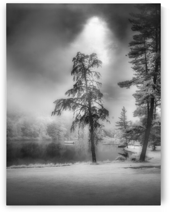 Lighted PA Pine by Dream World Images
