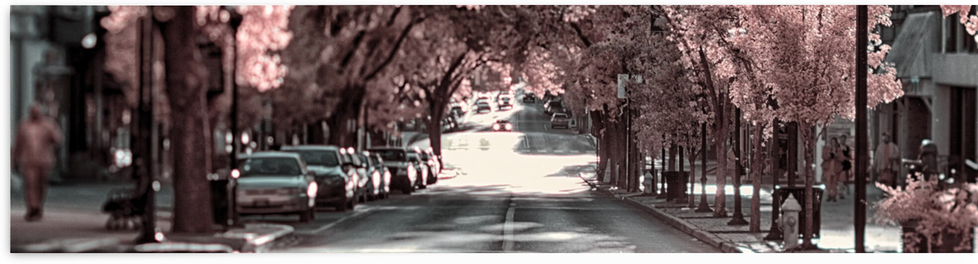 City in Bloom: Yorks Stroll Through Infrared Hues - Pano by Dream World Images