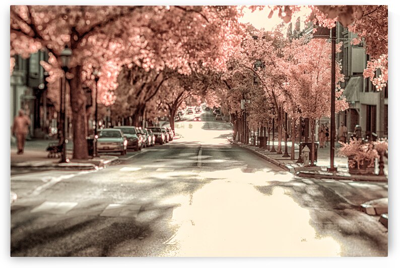 City in Bloom: Yorks Stroll Through Infrared Hues by Dream World Images