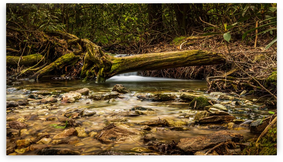 Hidden falls by Dream World Images