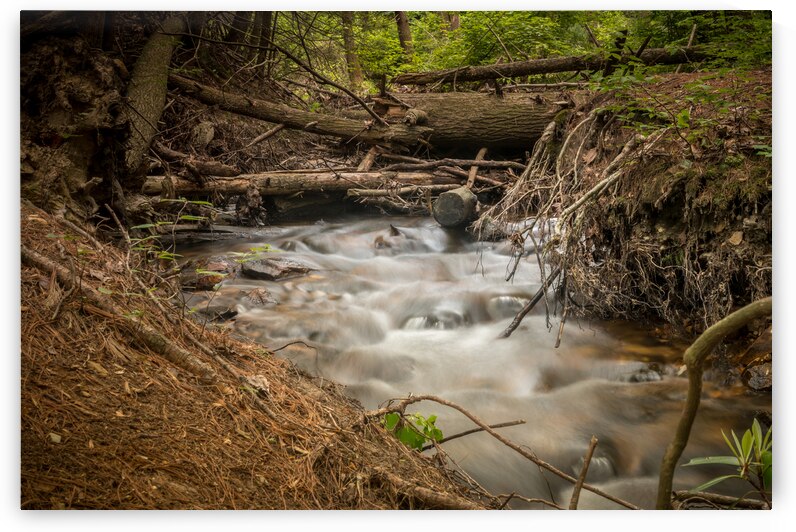 Conococheague Creek by Dream World Images