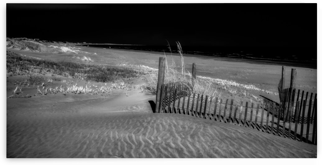 Fence Watching the Ocean by Dream World Images