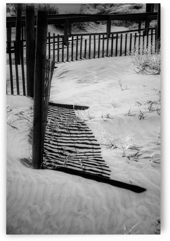 Shadowy Fence by Dream World Images