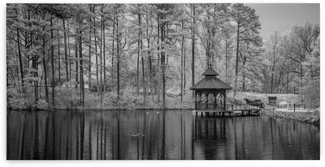 Infrared pond Gazebo by Dream World Images