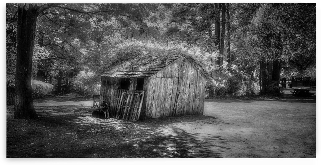 Whispers of Time: An Enchanted Shack at Swan Lake & Iris Garden by Dream World Images