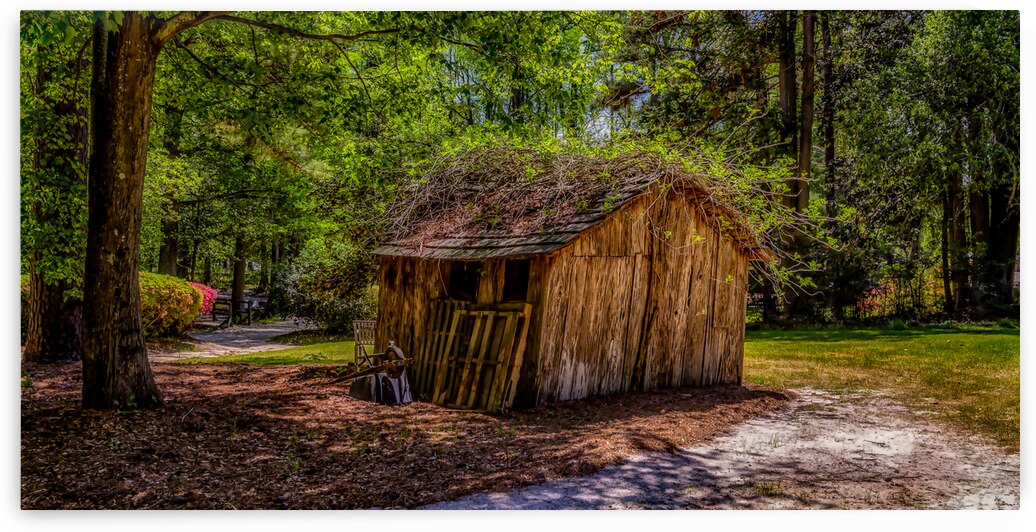 Whispers of Time: An Colorful Enchanted Shack at Swan Lake & Iris Garden by Dream World Images