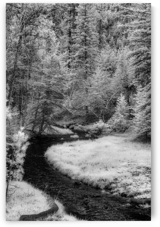 Infrared Oasis: Grace Coolidge Creek by Dream World Images