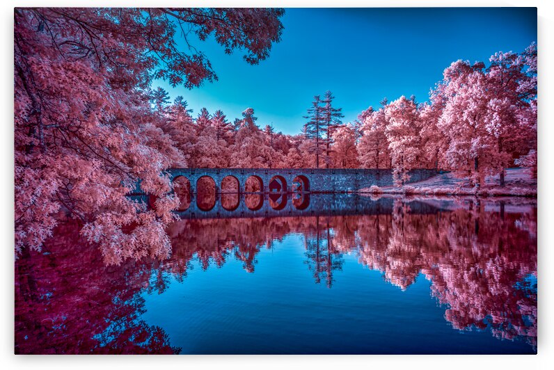 Infrared Oasis: Pink Arches by Dream World Images