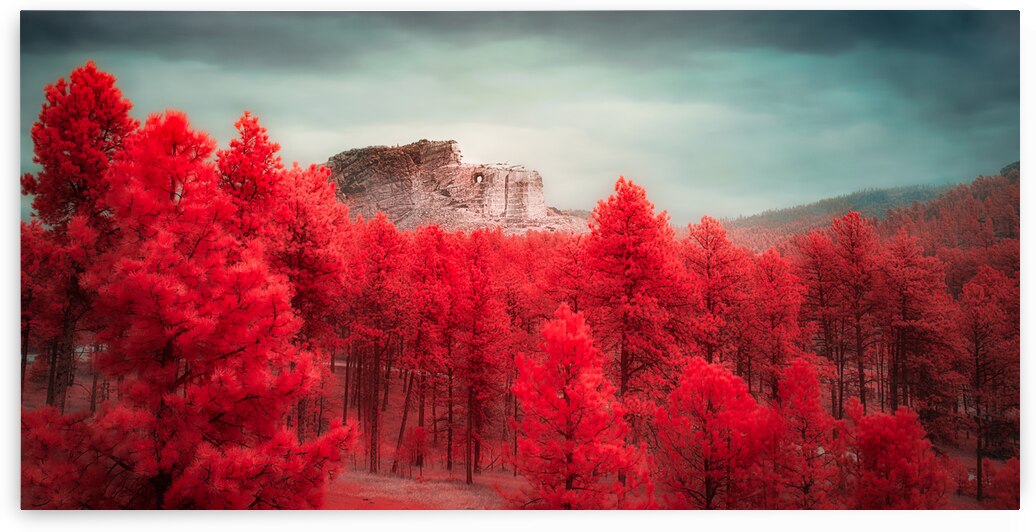 Crimson Dreamscape: Crazy Horse by Dream World Images