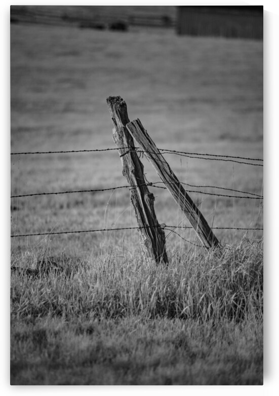 Fenceline Support by Dream World Images