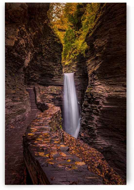 Watkins Glen Serenity: Tranquil Gorge Path to A Majestic Waterfall by Dream World Images
