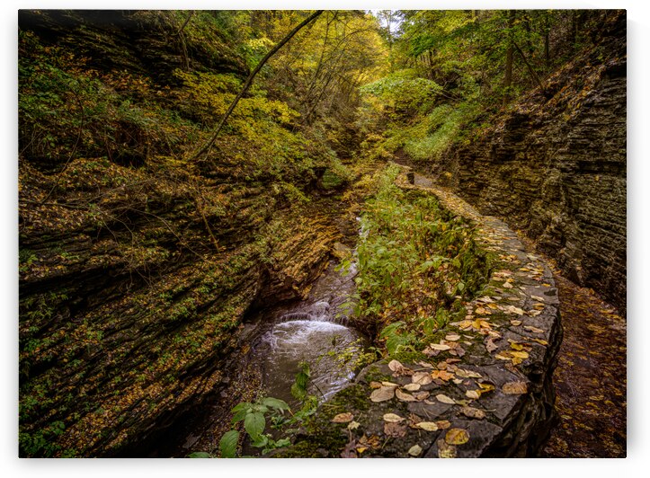 Autumn In the Gorge by Dream World Images