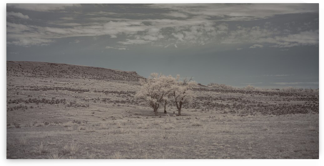 A Rainy Night Turns Bright: Exploring Shamrock Texas Ranch by Dream World Images