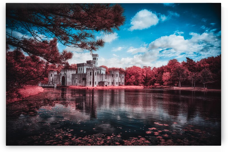 Newmans Castle: A Texan Tale in Infrared Bloom by Dream World Images