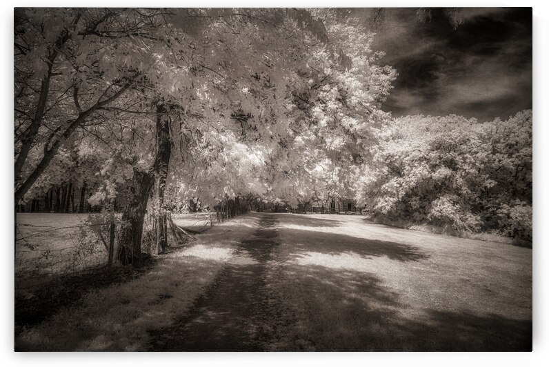 Invisible Texas Trail by Dream World Images