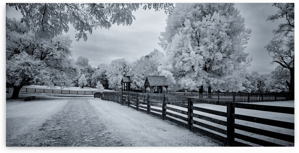 Whispers of Time: A Weathered Road Along Appomattox Courthouse Towns Fences by Dream World Images