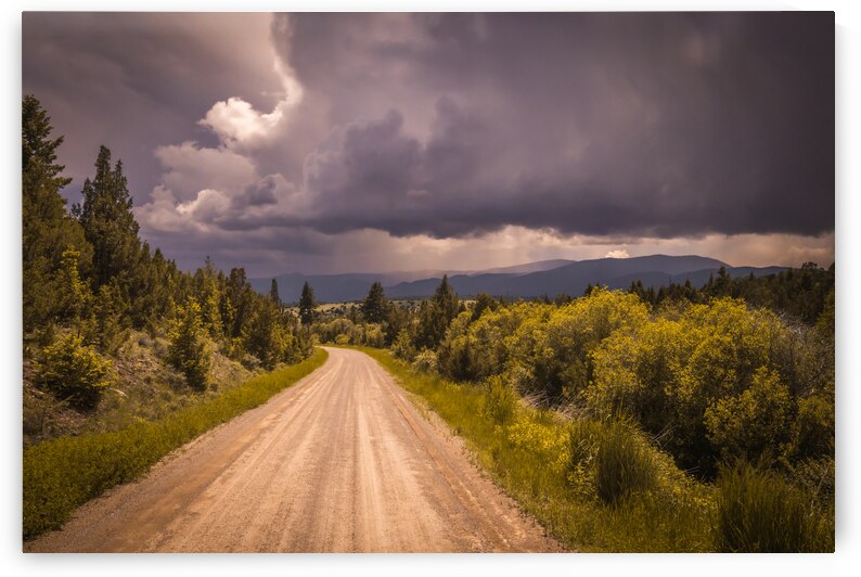 Montana Road -2 by Dream World Images