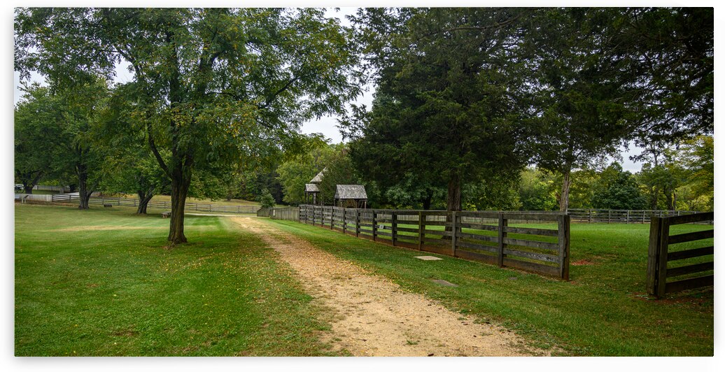 Green Serenity: Unveiling the Enchanting Path a Hidden House in Appomattox Courthouse by Dream World Images