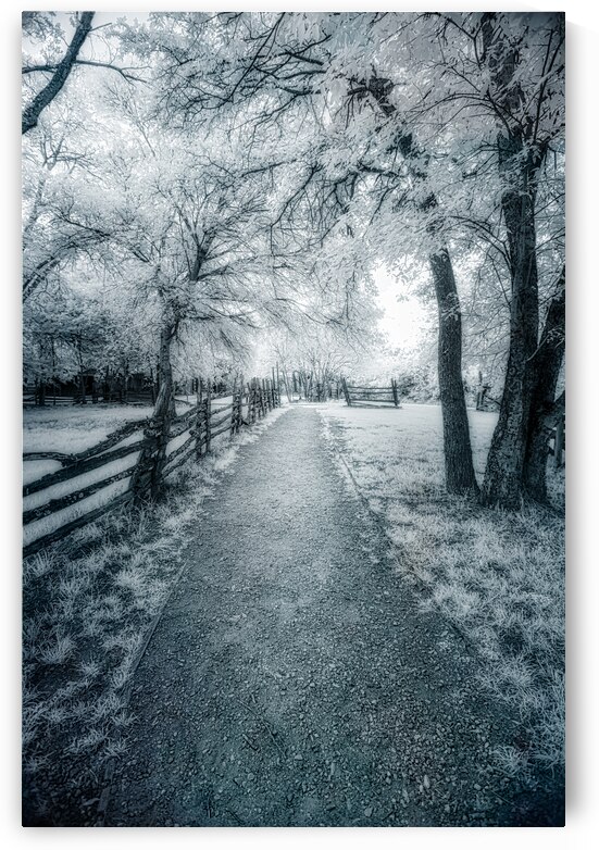 Rustic Reverie: Exploring the Historic Farm Trails by Dream World Images