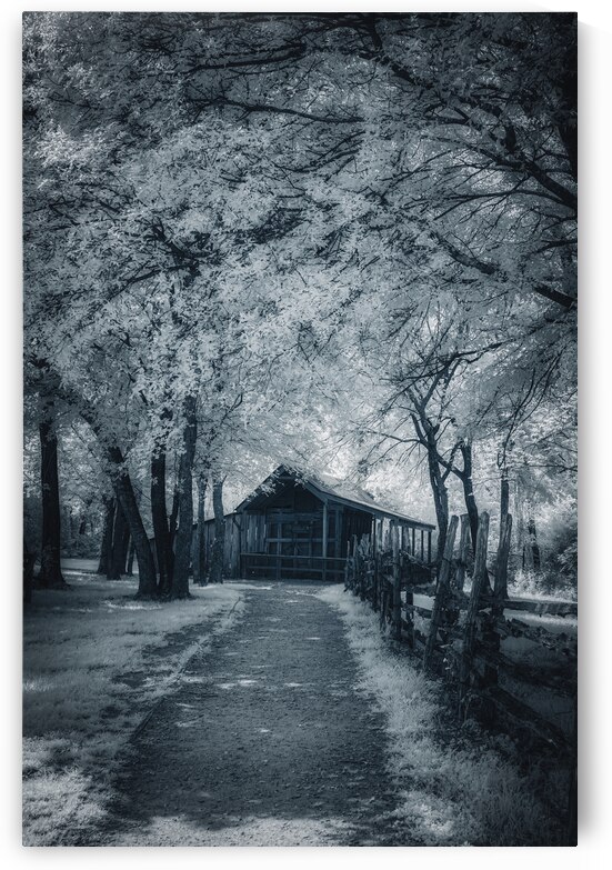 Barn Path - 1 by Dream World Images