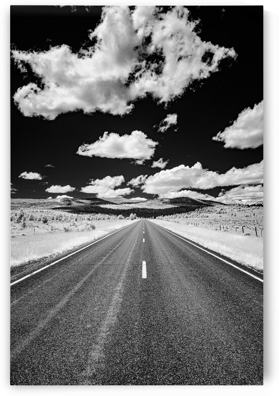 Rural Majesty Unveiled: Montanas Highway Horizon in Black and White Infrared Splendor  by Dream World Images
