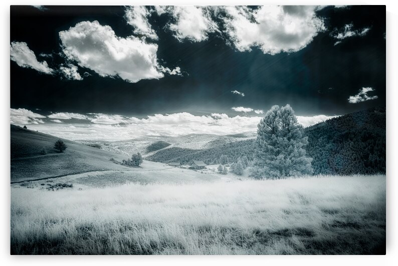 Dreamlike Horizon: Marysville Montana by Dream World Images