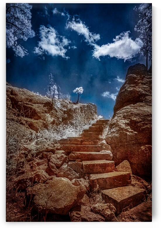 Stairway to Tranquility: Exploring Sylvan Lake South Dakota by Dream World Images