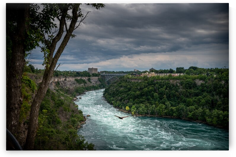 Soaring over the Whirlpool by Dream World Images