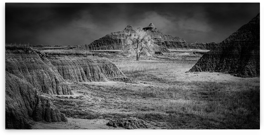 Badlands Lost Tree by Dream World Images