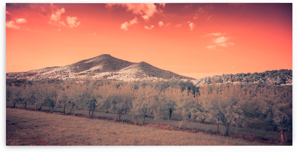 Orange Mountain Shine by Dream World Images