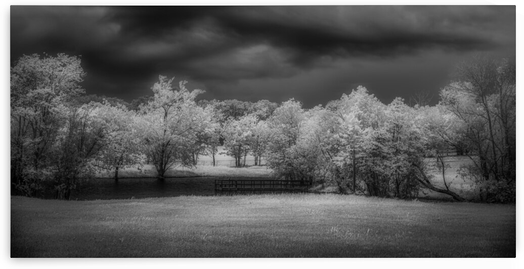 Moody Moments: Texas Roadside Pond by Dream World Images