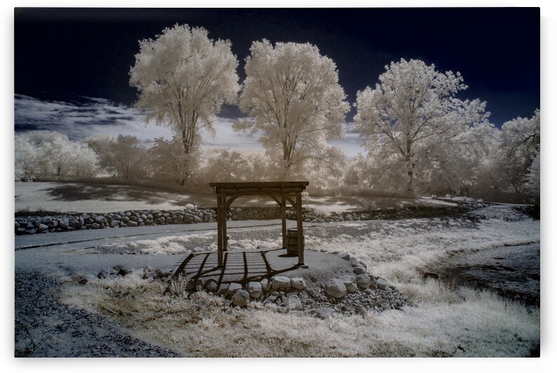 Infrared Trelles by Dream World Images