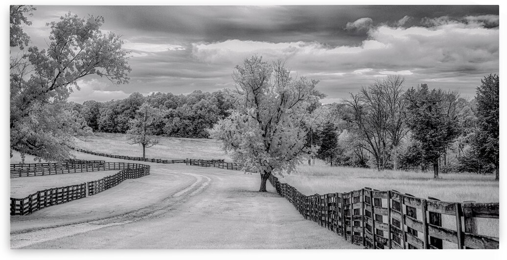 Journey Beyond: Traversing the Worn Road of Appomattox Courthouse Town by Dream World Images