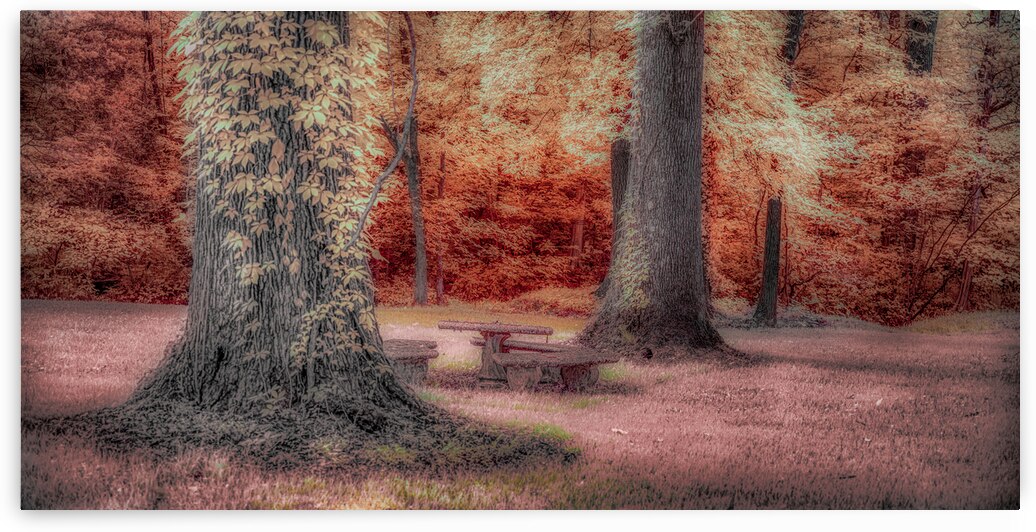 Aunts Oasis: Discovering the Dreamy Charm of a Color Infrared Patio Set in Tennessee by Dream World Images